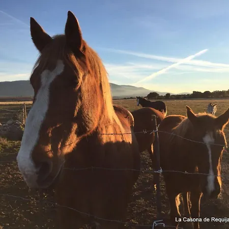 La Casona De A 6km De Pedraza Con Piscina Hébergement de vacances *