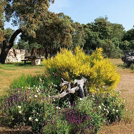 La Casona De A 6km De Pedraza Con Piscina Requijada