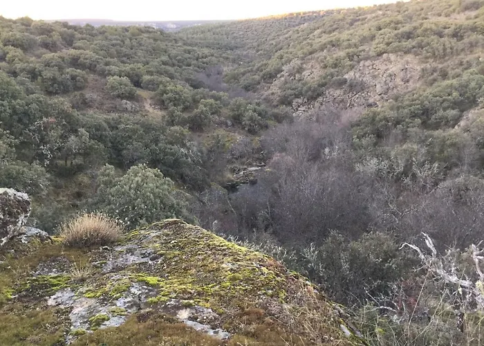 La Casona De A 6km De Pedraza Con Piscina Requijada