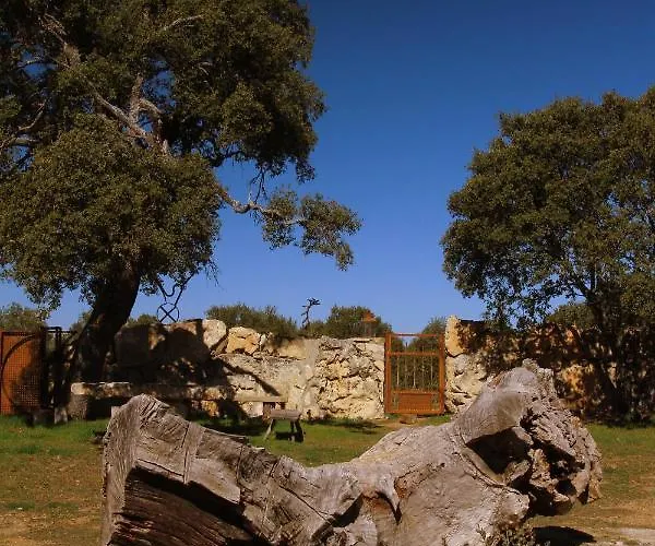 La Casona De A 6km De Pedraza Con Piscina Nyaraló Requijada