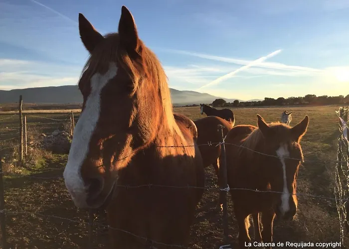 La Casona De A 6km De Pedraza Con Piscina Nyaraló *