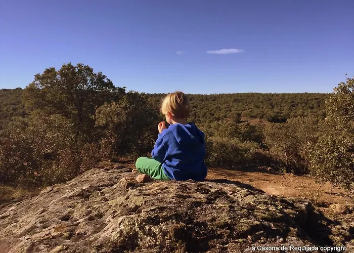 La Casona De A 6km De Pedraza Con Piscina