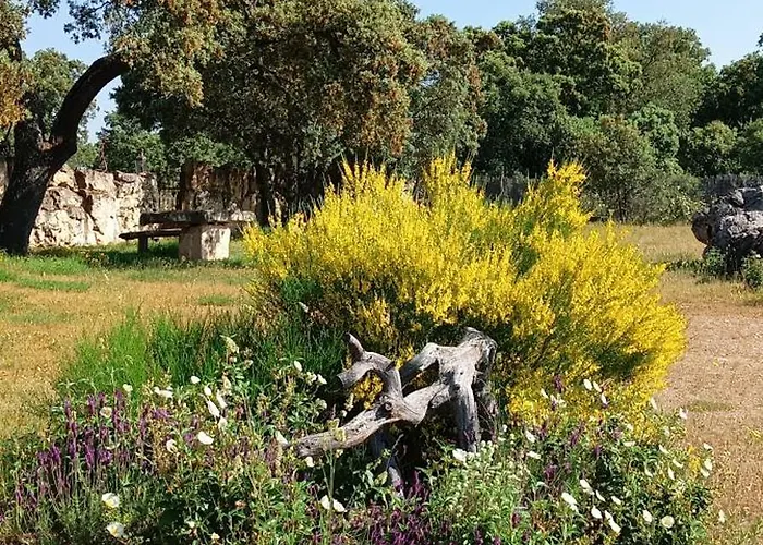 La Casona De A 6km De Pedraza Con Piscina Requijada